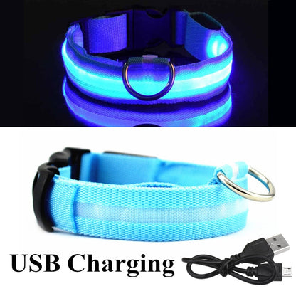 LED Pet Collar