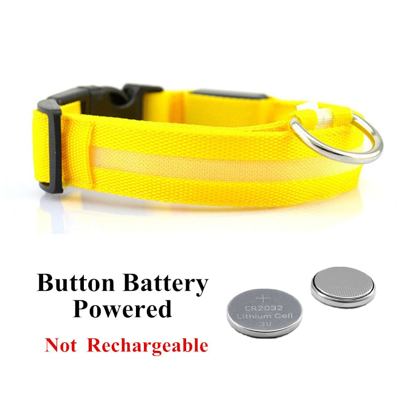 LED Pet Collar