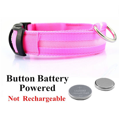 LED Pet Collar