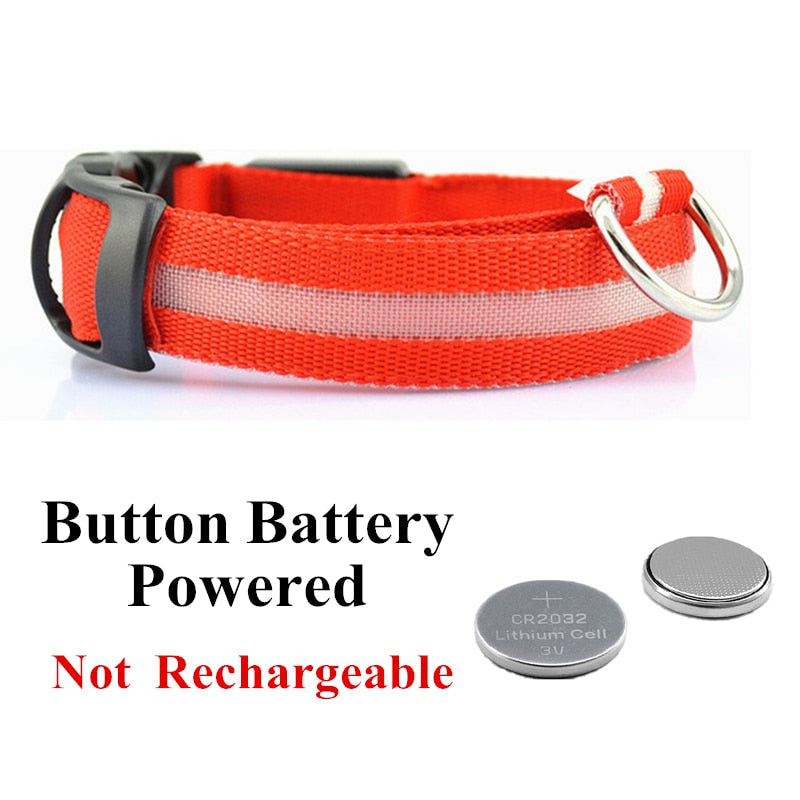 LED Pet Collar