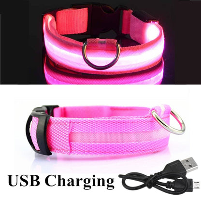 LED Pet Collar