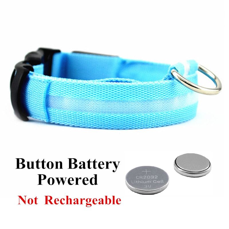 LED Pet Collar