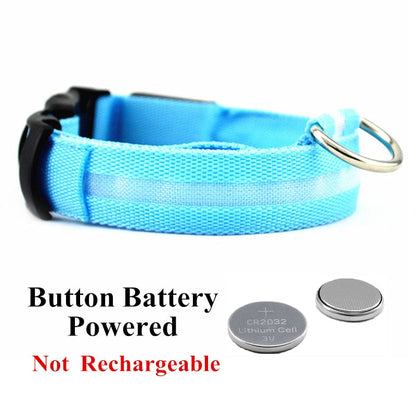 LED Pet Collar