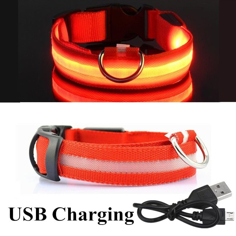 LED Pet Collar
