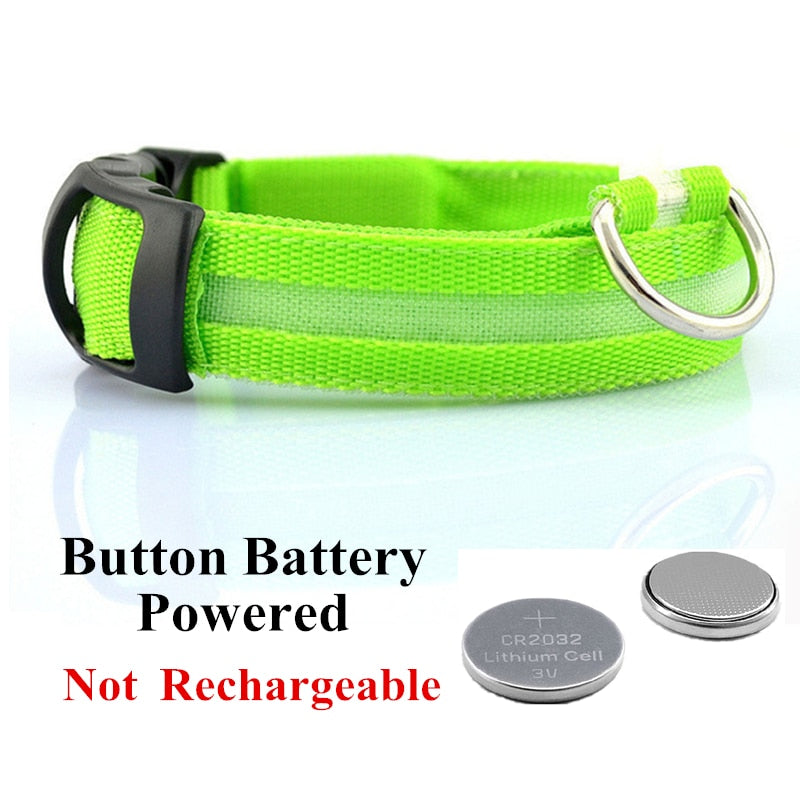 LED Pet Collar