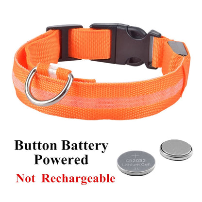 LED Pet Collar