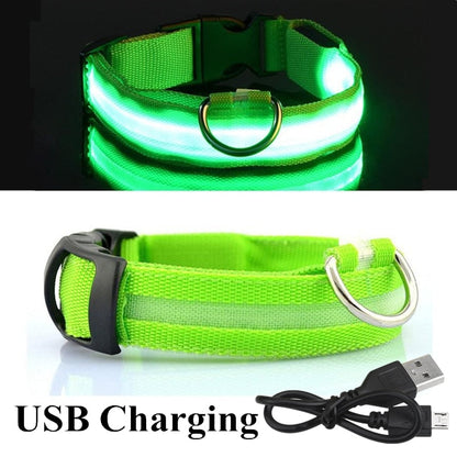 LED Pet Collar