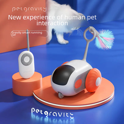 AutoPaws Car