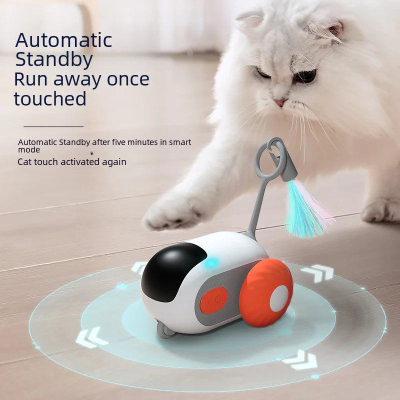 AutoPaws Car