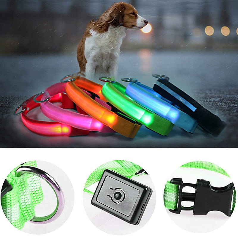 LED Pet Collar