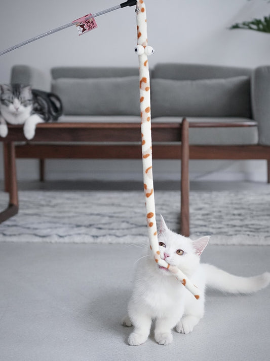 Caterpillar Toy