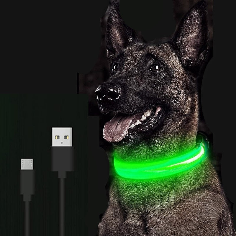 LED Pet Collar