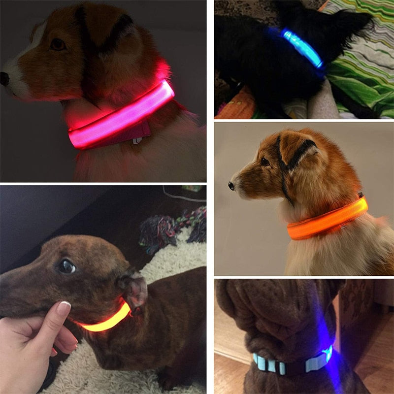 LED Pet Collar