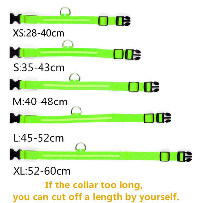 LED Pet Collar