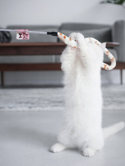 Caterpillar Toy
